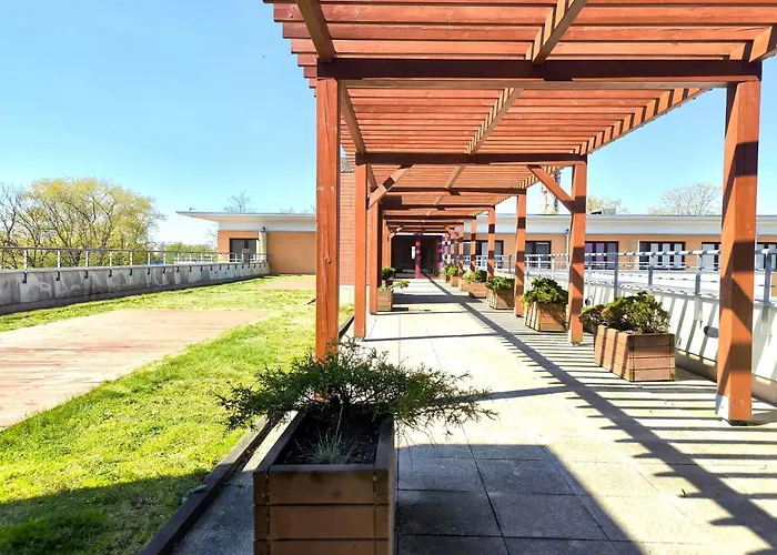 y-Plaza